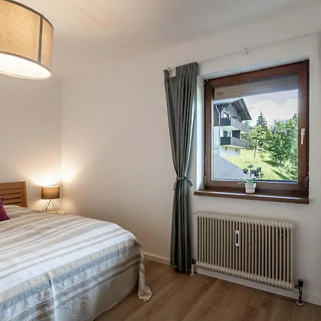 Familienunterkunft Im Ski- Und Wandergebiet Apartment Muhlbach Am Hochkonig